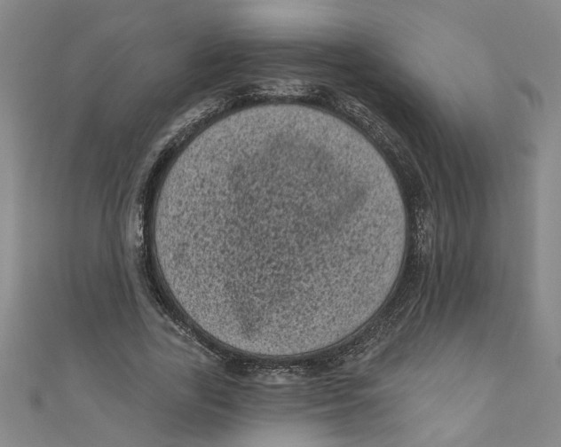 X0000110940731200907101246