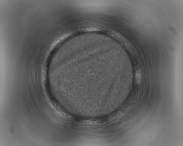 X0000110940732200907101246