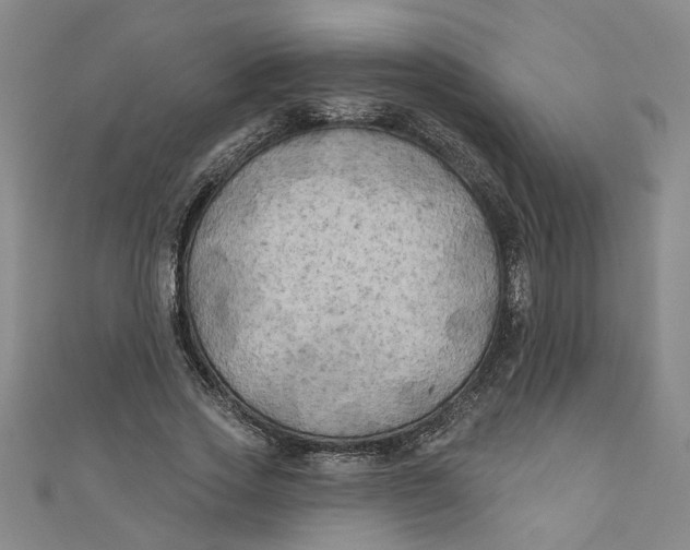 X0000110940733200907101246