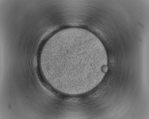 X0000110940734200907101246
