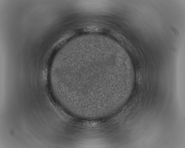 X0000110940735200907101246