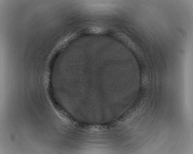 X0000110940736200907101246