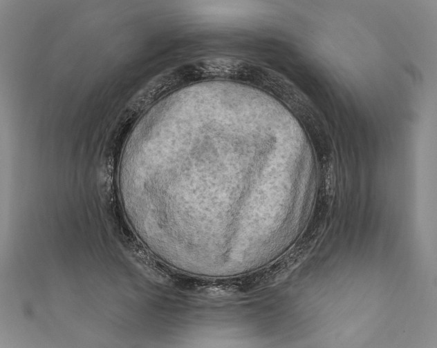 X0000110940737200907101246