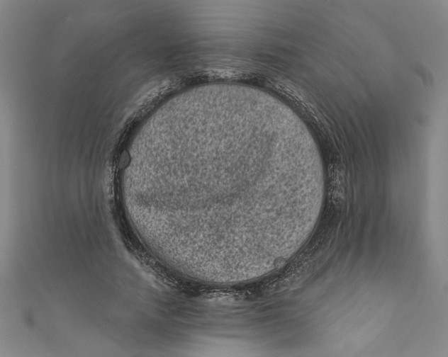 X0000110940738200907101246
