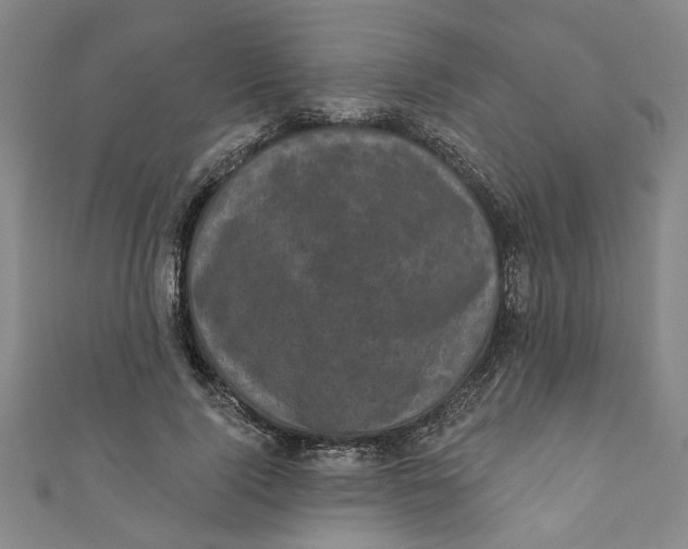 X0000110940740200907101246