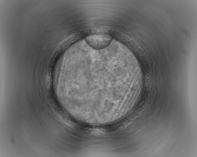 X0000110940741200907101246