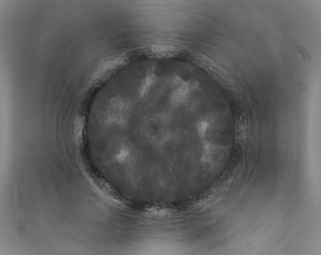 X0000110940742200907101246