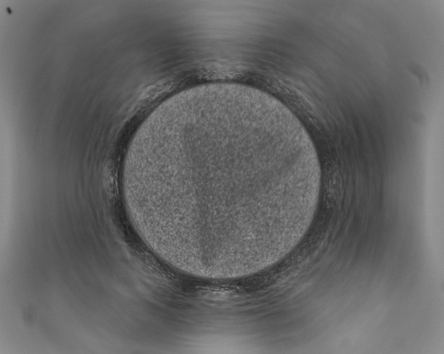 X0000110940743200907101246