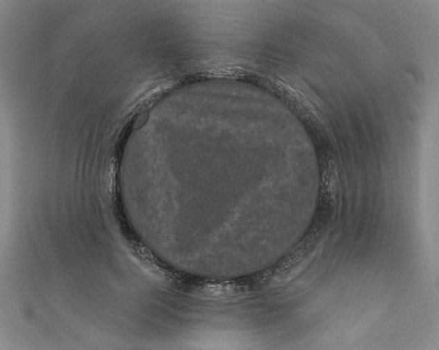 X0000110940744200907101246