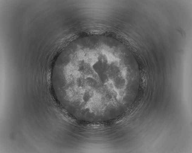 X0000110940745200907101246