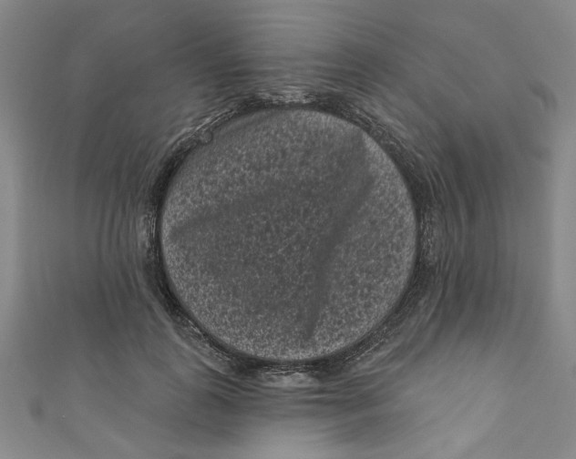 X0000110940747200907101246