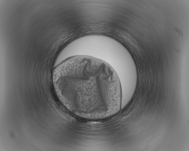 X0000110940748200907101246