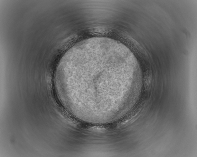 X0000110940749200907101246