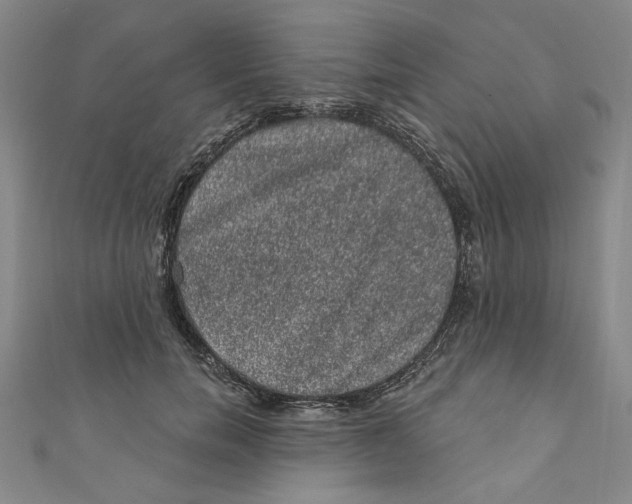 X0000110940750200907101246