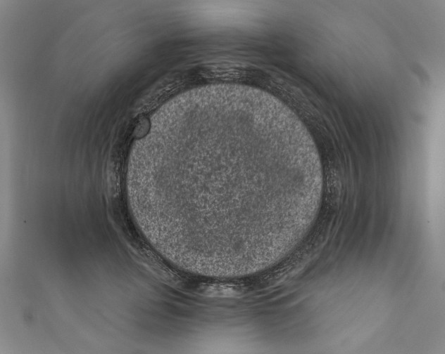 X0000110940751200907101246