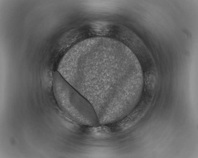 X0000110940752200907101246