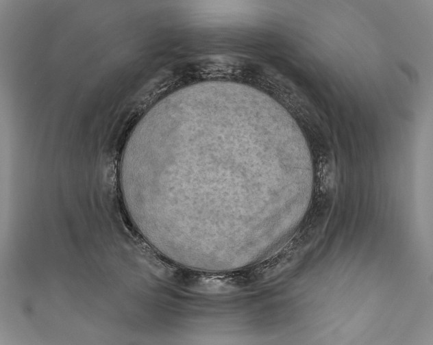 X0000110940753200907101246