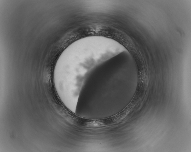 X0000110940754200907101246