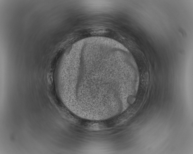 X0000110940755200907101246