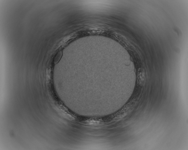 X0000110940756200907101246