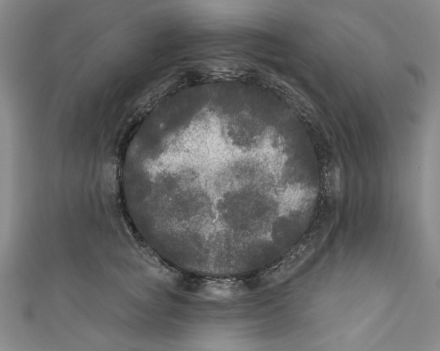 X0000110940757200907101247