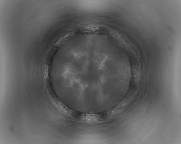 X0000110940758200907101247