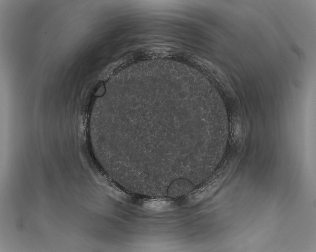 X0000110940759200907101247