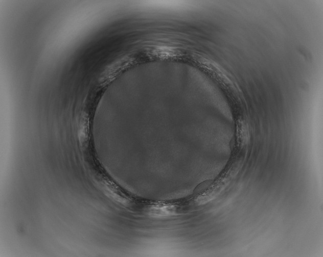 X0000110940760200907101247