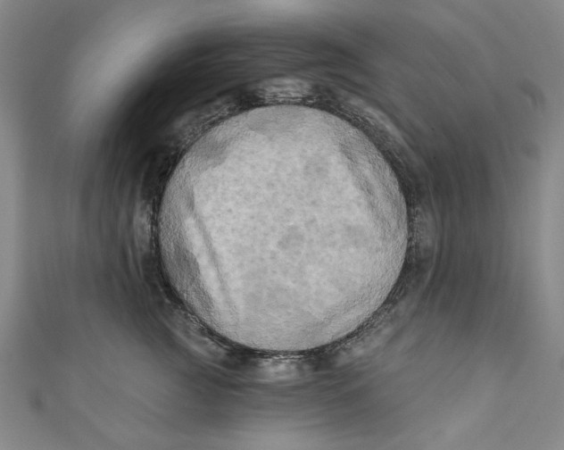 X0000110940761200907101247