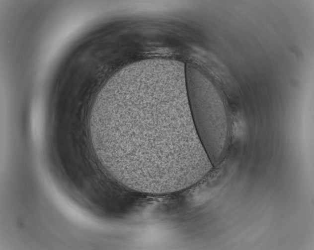 X0000110940764200907101247