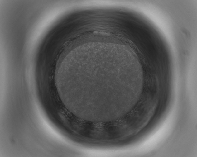 X0000110940766200907101247