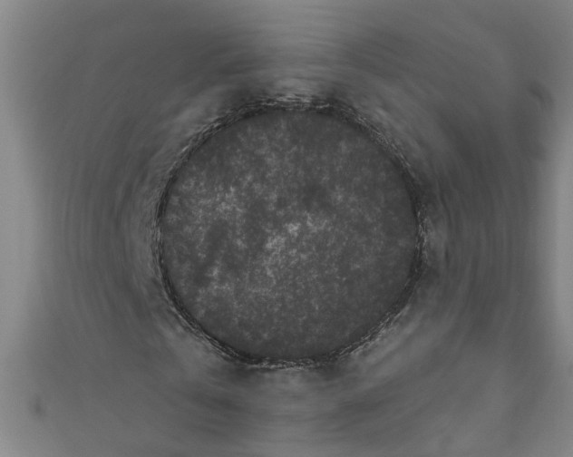 X0000110940769200907101246