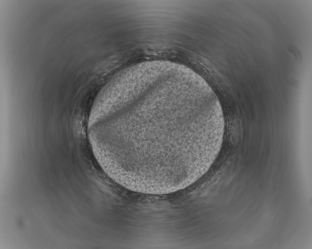 X0000110940770200907101246