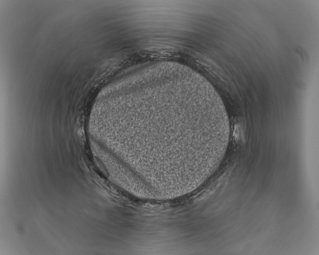 X0000110940771200907101246