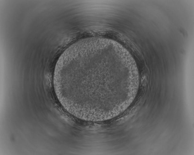 X0000110940772200907101246