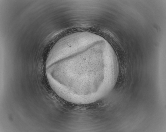 X0000110940773200907101246