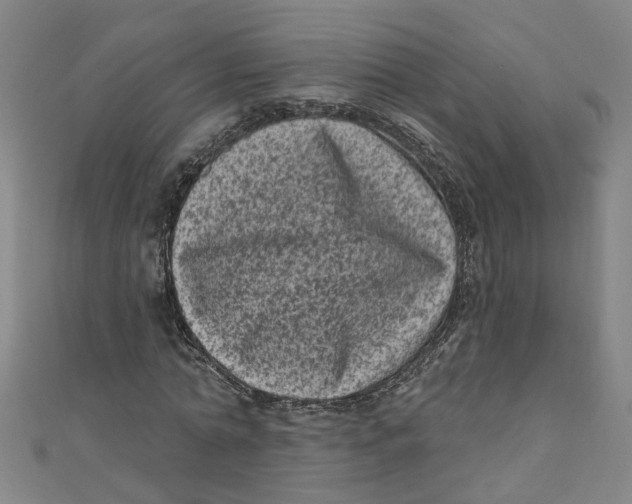 X0000110940774200907101246