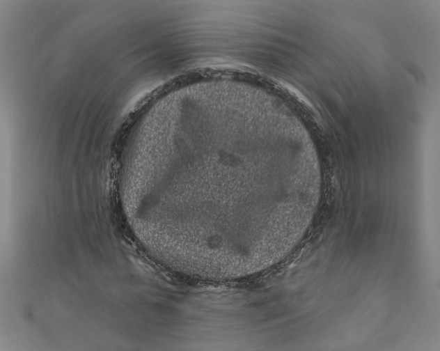 X0000110940775200907101246