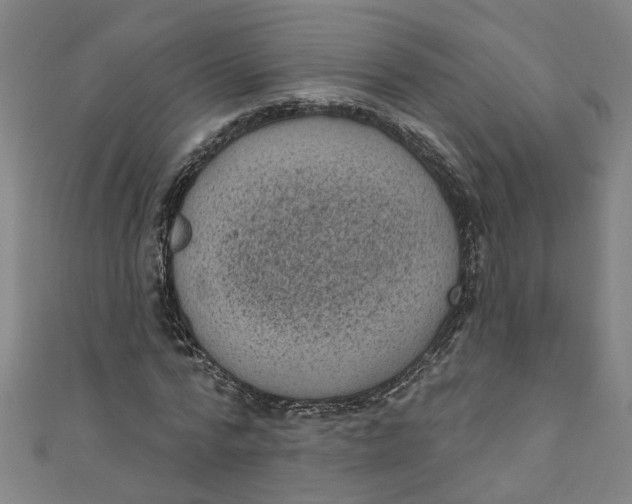 X0000110940776200907101246