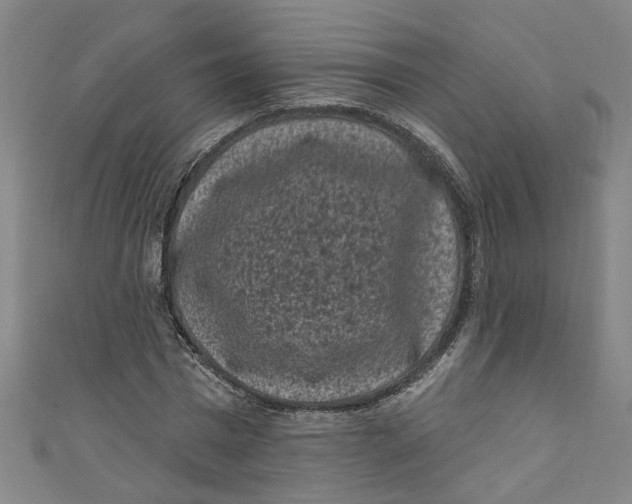X0000110940777200907101246
