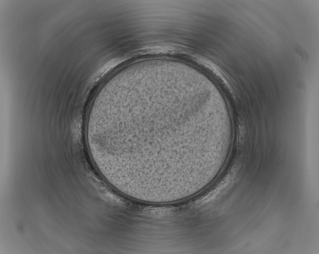 X0000110940778200907101246