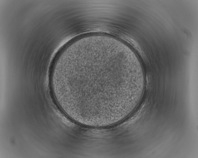 X0000110940780200907101246