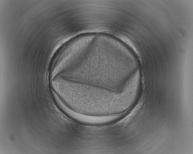 X0000110940781200907101246