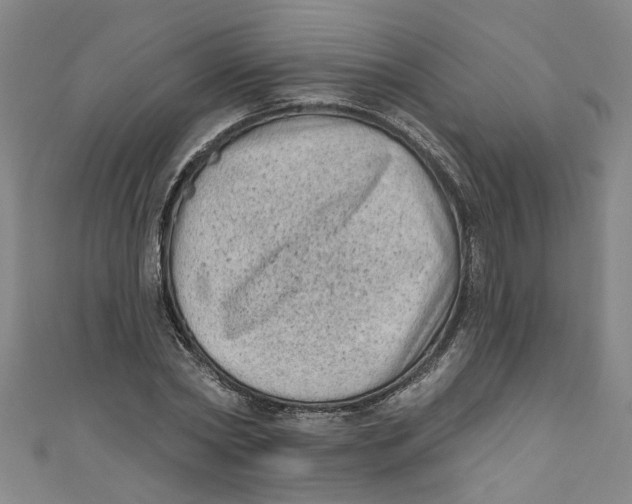 X0000110940782200907101246