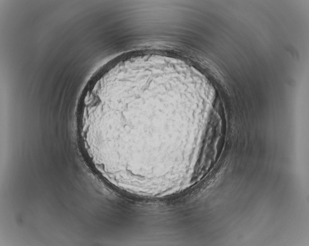 X0000110940784200907101246