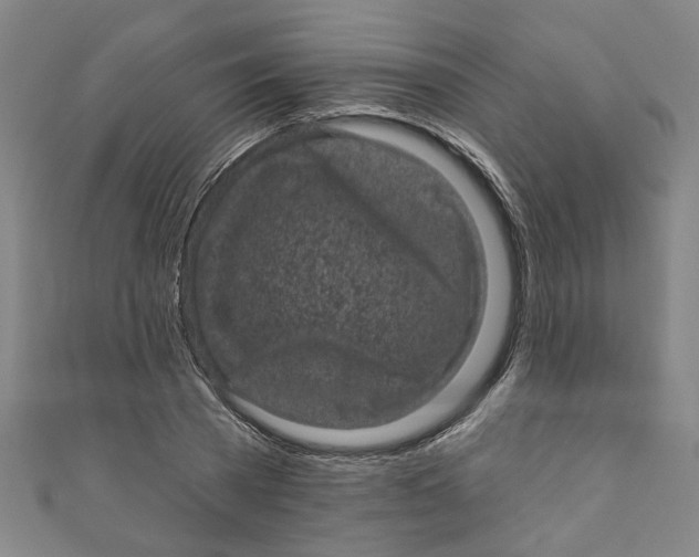 X0000110940785200907101246