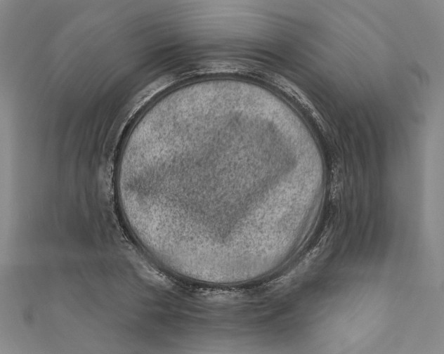 X0000110940786200907101246