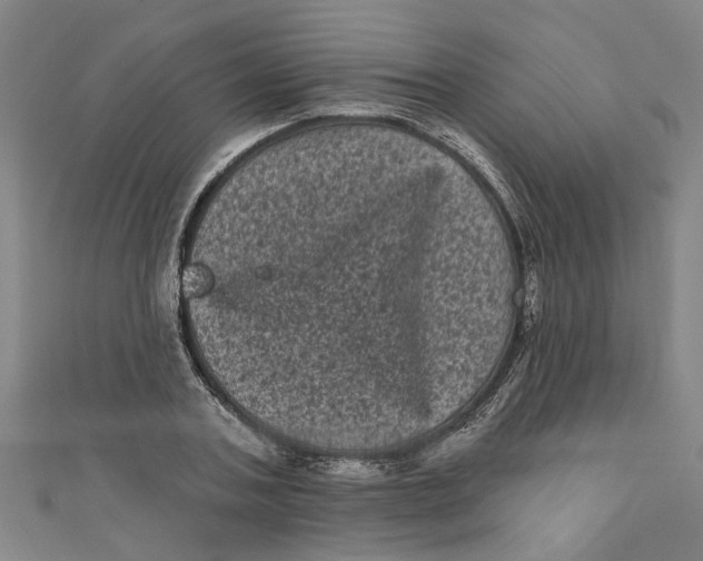 X0000110940787200907101246