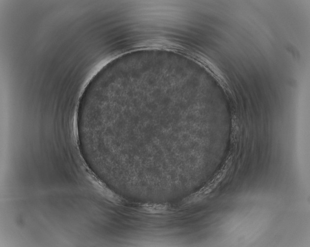 X0000110940788200907101246