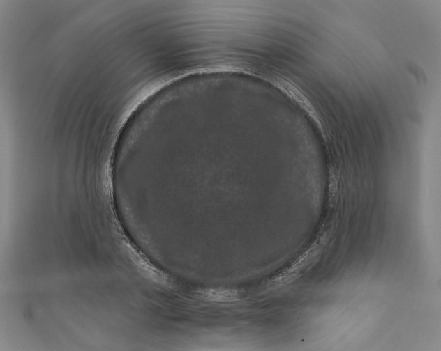 X0000110940789200907101246